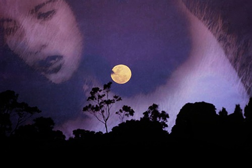 photographic collage of a moonlit night and woman's face