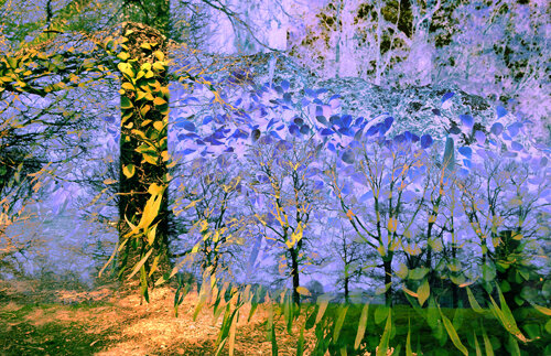 ethereal photographic landscape overlay in soft colors