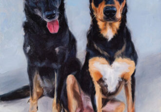 pet portrait of two dogs
