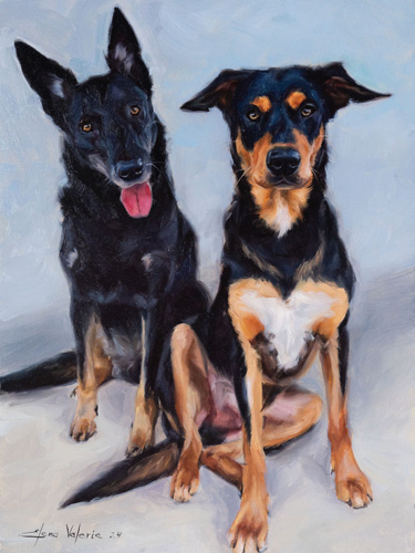 pet portrait of two dogs