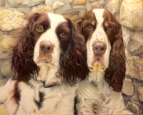 “Abby and Romeo” Colored Pencil on Suede, 16” x 12”by artist David Hoque. See his portfolio by visiting www.ArtsyShark.com