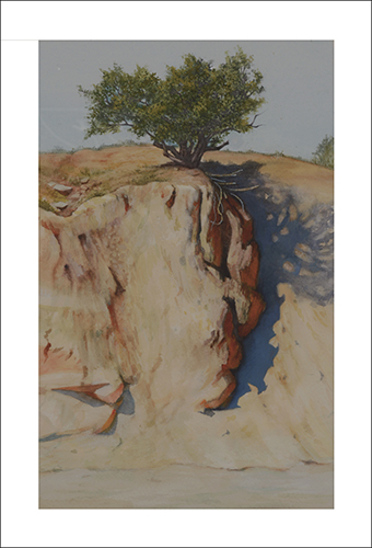 watercolor painting of a tree in an arroyo