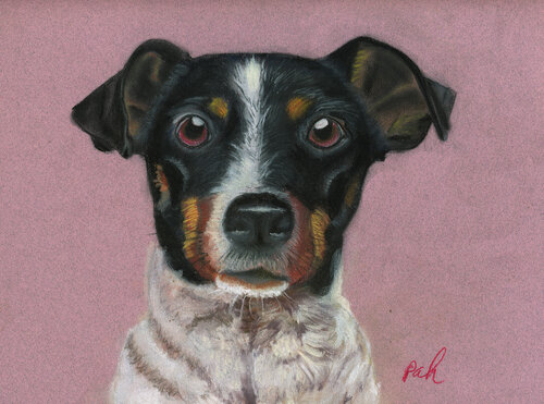pastel drawing of a beagle