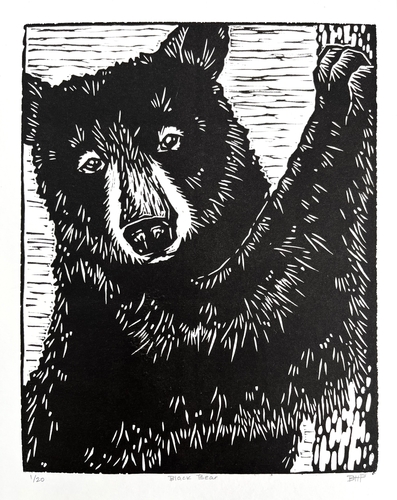 linocut print of a black bear