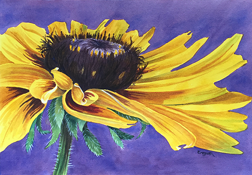 watercolor painting of a black-eyed susan flower