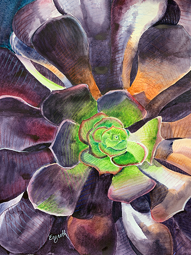 watercolor painting of a "black rose"