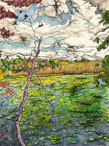 watercolor landscape scene bogland