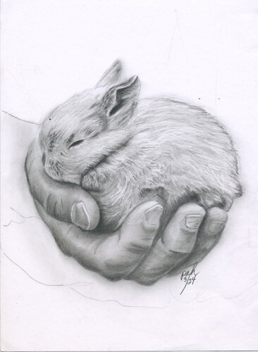 pencil drawing of a hand holding a small rabbit