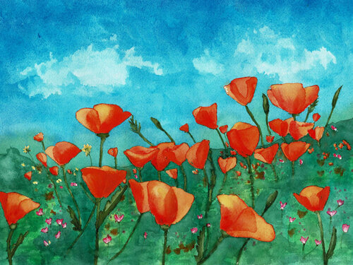 watercolor of a poppy field