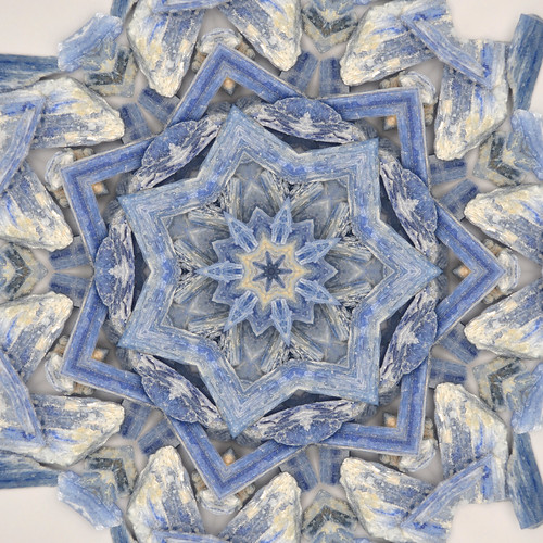 mesmerizing pattern from nature created with digital photography