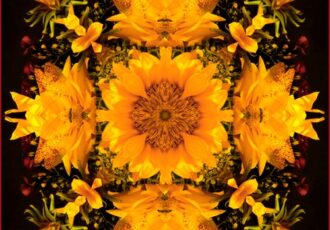 digital floral photograph by Carl Kravats