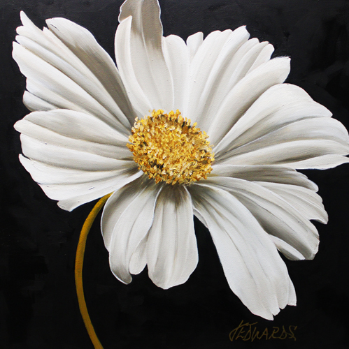 oil painting of a flower by artist Jo Edwards