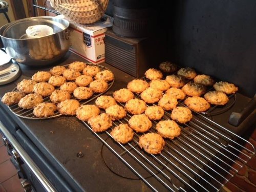 Cookies at the Open Studio