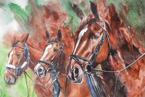 watercolor of three horses