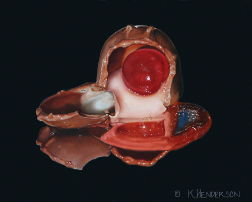 realistic oil painting of a chocolate covered cherry