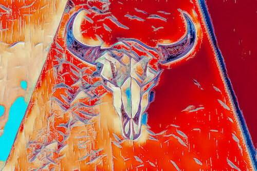 digital photograph of a cow skull