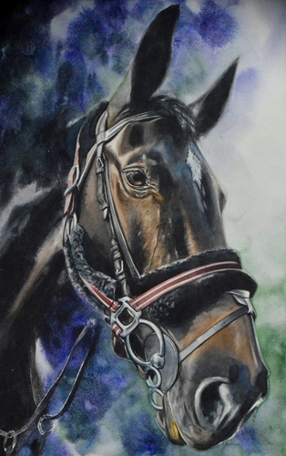 watercolor portrait of a horse