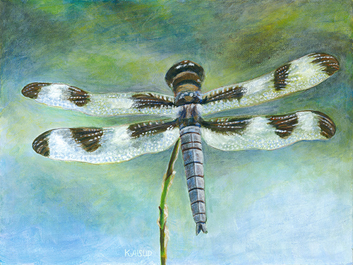 acrylic painting of a dragonfly