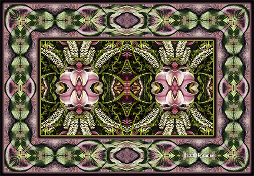 geometric photo design with nature elements