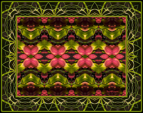 floral photography digital altered design