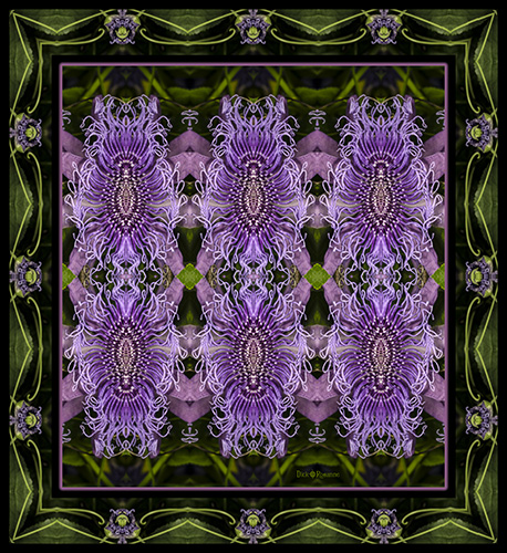 Floral photography altered digitally