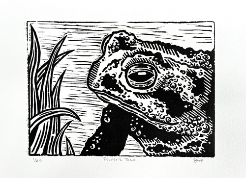 black and white linocut print of a toad