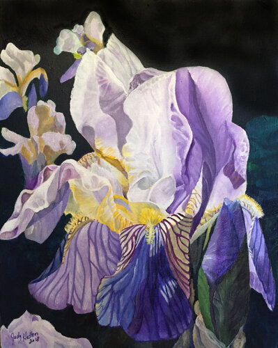 painting of an iris
