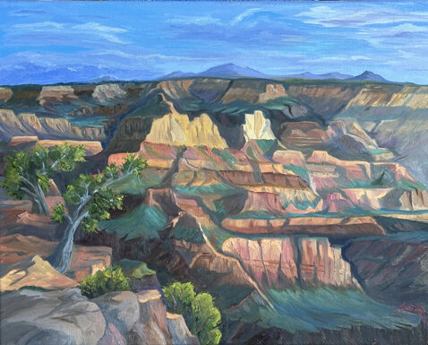 multicolored canyons of New Mexico