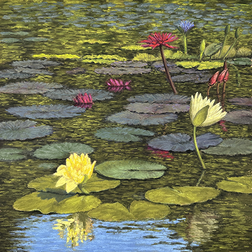 pastel painting of a waterlily pond