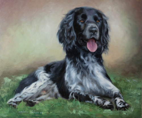 pet portrait of a dog