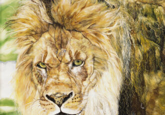 Realistic oil painting of a lion by Andrew Smith