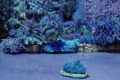 blue toned image of a Japanese tea garden