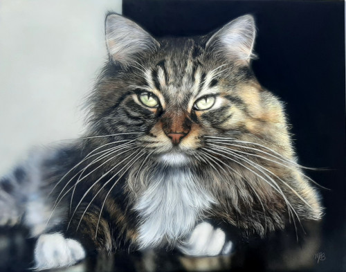 striking realistic portrait of a cat