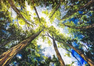 oil painting looking up through the trees
