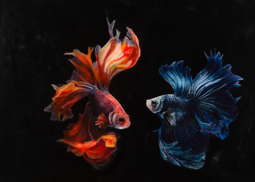 acrylic painting of two fancy fish