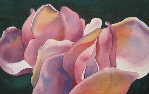 watercolor painting closeup of a magnolia flower