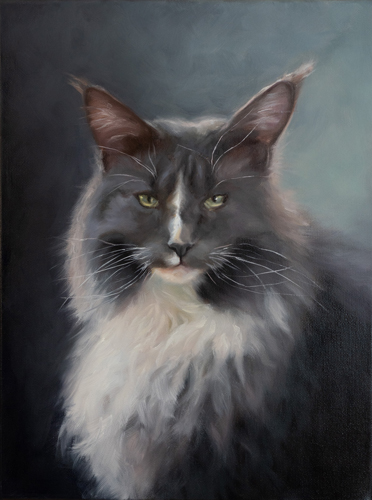 pet portrait of a cat