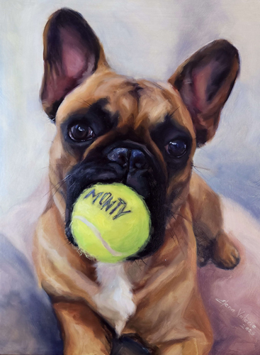 pet portrait of a french bulldog with a tennis ball