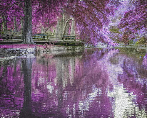 ethereal photo of a park with pink trees