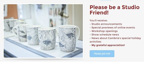 Patty Griffin Email Subscriber Opt-in