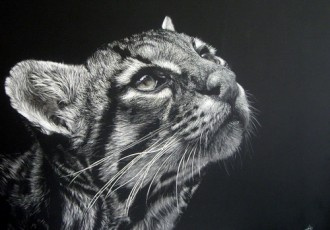 Please Don't Tease Me