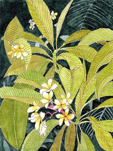 whimsical botanical watercolor painting