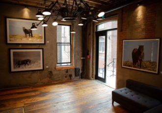 "Wild We Roam" pop-up gallery featuring Jennifer Irving's photography.