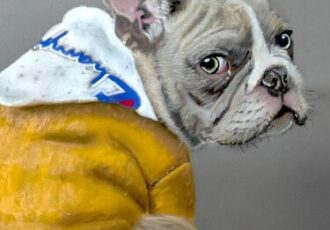 pastel drawing of a little pug dog