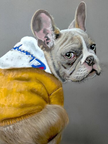 pastel drawing of a little pug dog