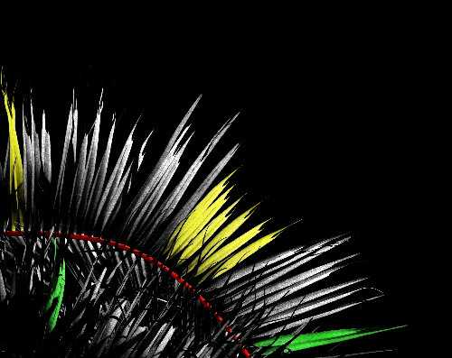 colorized black and white botanical photograph