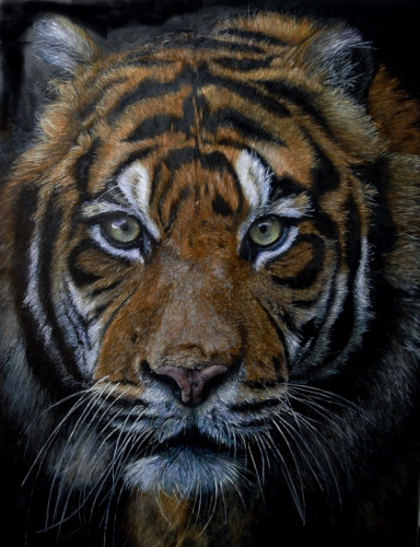 realistic painting of a tiger