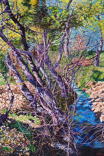 painting of a wild landscape at Rowan Creek