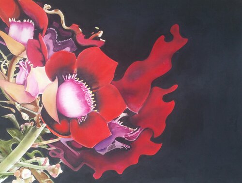 bold watercolor of a scarlet flower