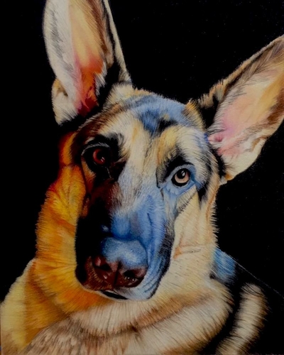 “Seamus” Colored Pencil on Suede, 11" x 14" by artist David Hoque. See his portfolio by visiting www.ArtsyShark.com